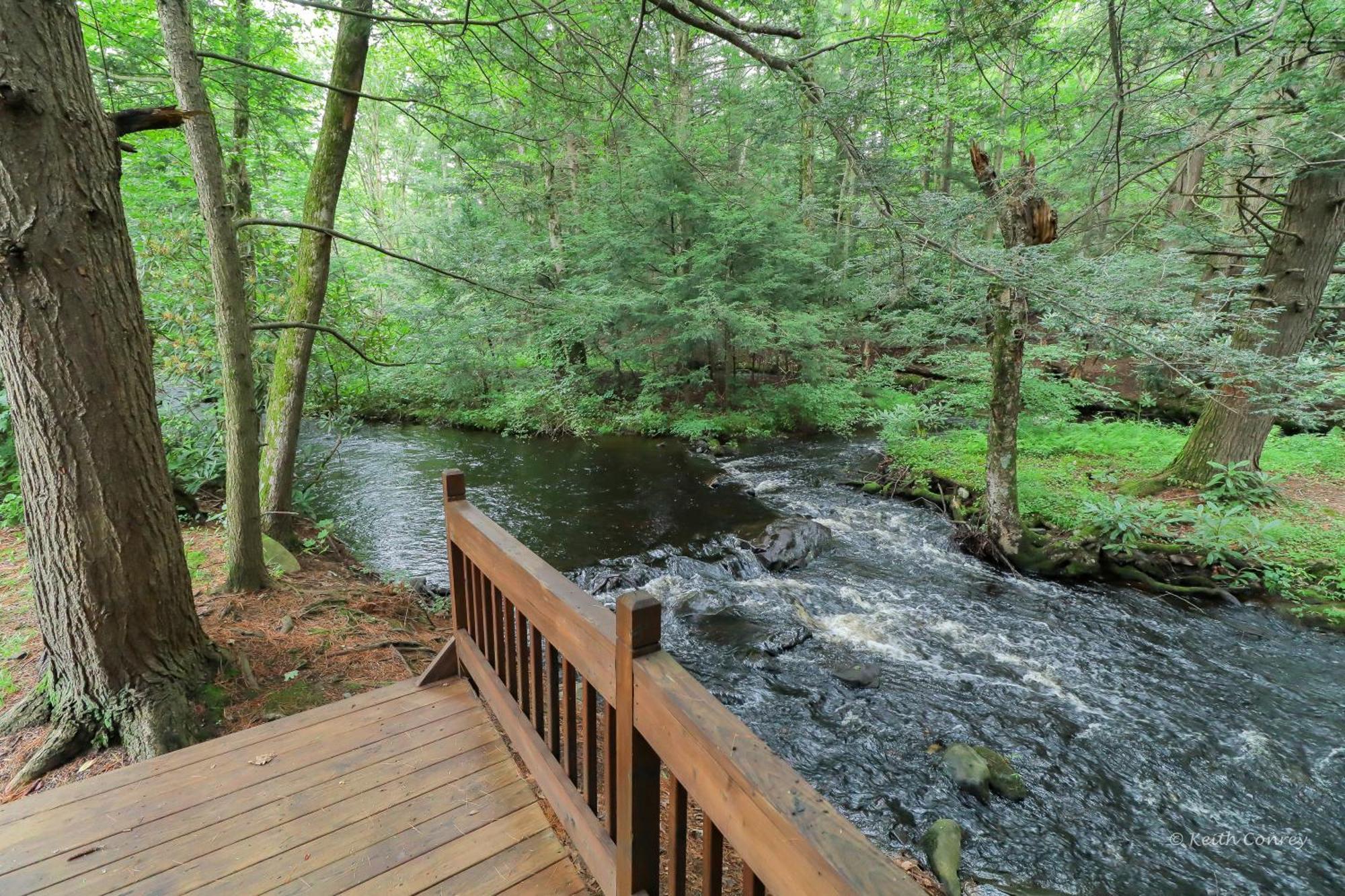 Magnolia Streamside Resort Canadensis Стая снимка